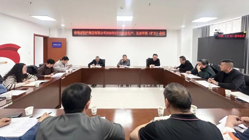 集團召開2025年2月份安全生產、生態(tài)環(huán)保（擴大）會議